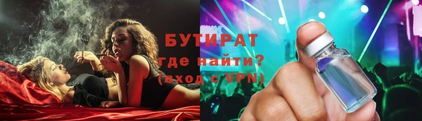 гидра Няндома