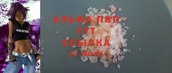 гидра Няндома