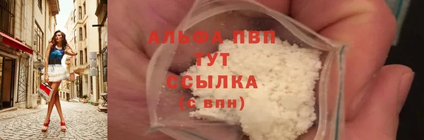 spice Новодвинск