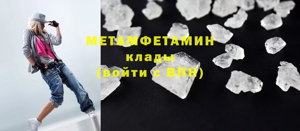 гидра Няндома