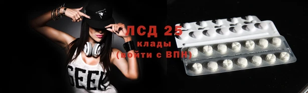 гидра Няндома