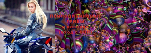 таблы Новозыбков