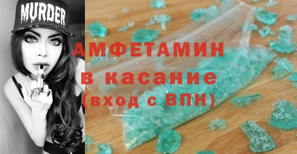 гидра Няндома