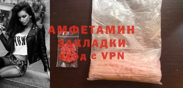 гидра Няндома