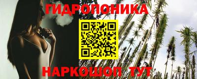 jwh Гатчина