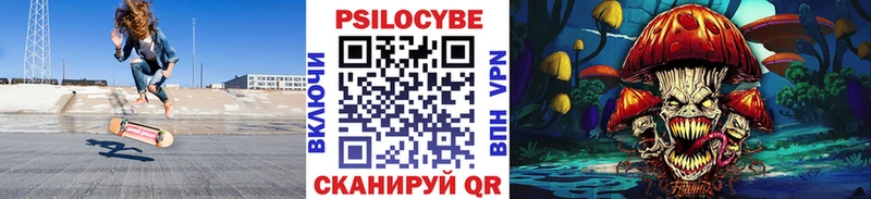Галлюциногенные грибы Psilocybe  Алексеевка 