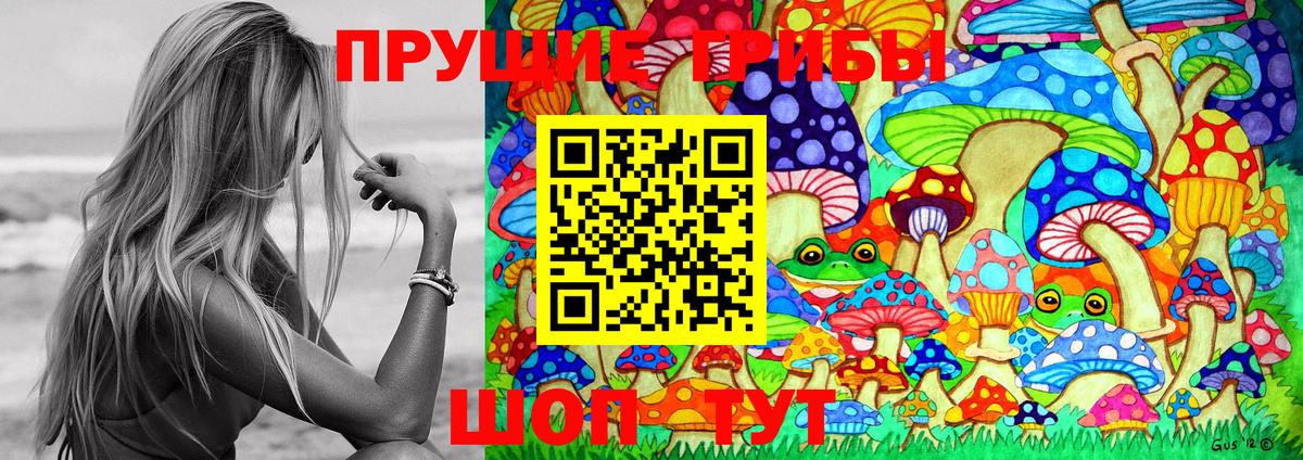 Алексеевка  Галлюциногенные грибы Psilocybe  Вход с VPN 