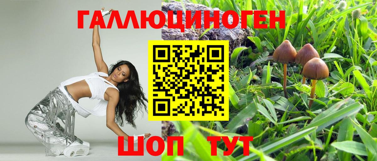 Галлюциногенные грибы Psilocybine cubensis Алексеевка