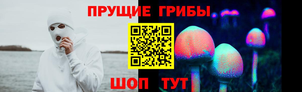 Псилоцибиновые грибы мицелий Алексеевка